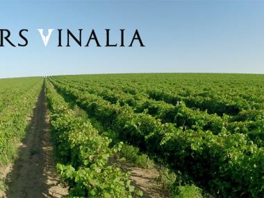 Fors Vinalia и виното на легиона