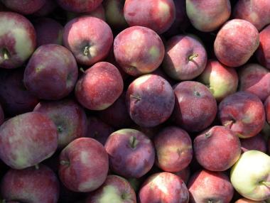 Голямо количество пестициди в ябълките на пазара