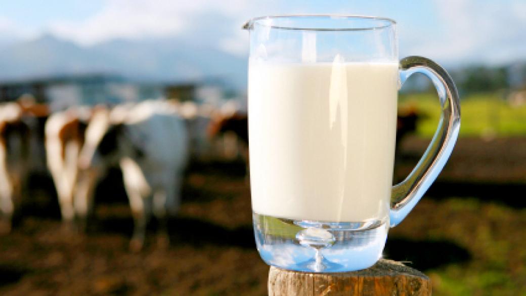 Млекопроизводители очакват фалити заради санкциите срещу Русия