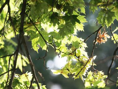 Очакват ни опасно високи температури днес