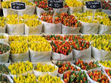 Русия забрани доставки на цветя от Холандия