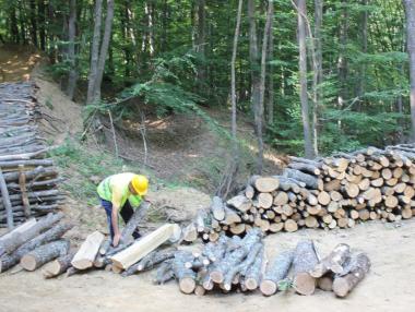 МЗХ: Купувайте дърва за огрев сега