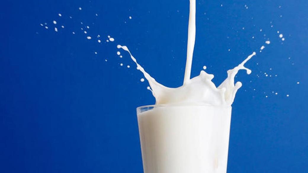 ЕС няма да компенсира млекопроизводителите