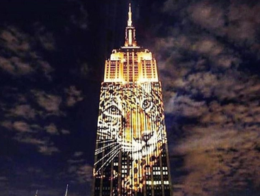 Застрашени видове животни осветиха Емпайър Стейт Билдинг