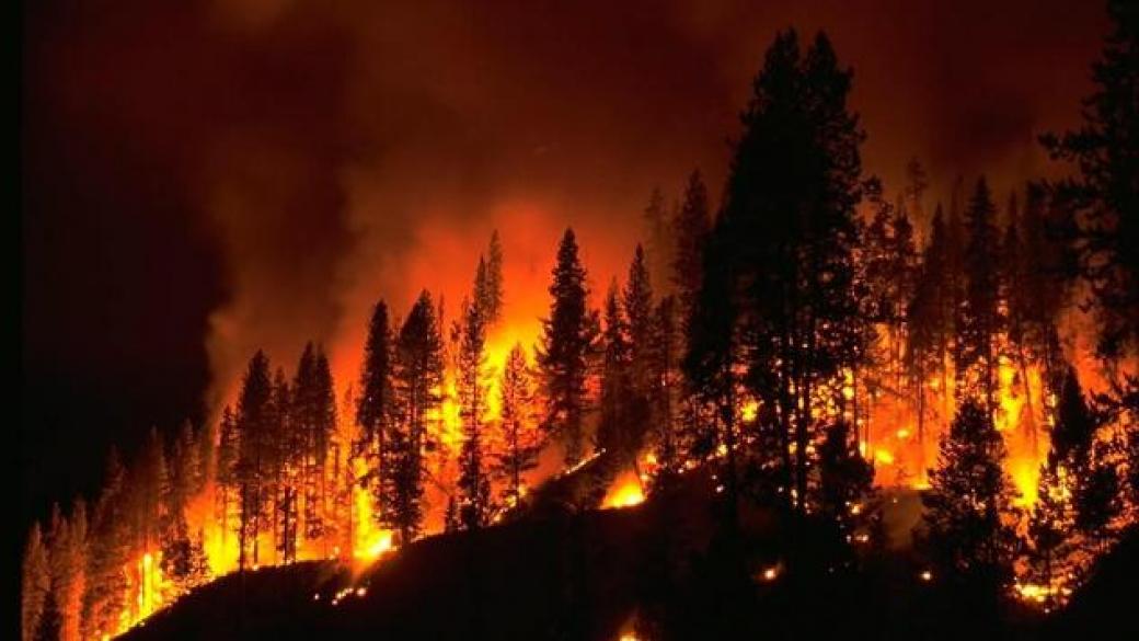 Червен код за опасност от пожари в девет области