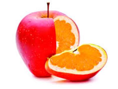 Шотландия забранява отглеждането на ГМО