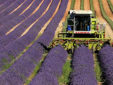 Дават социални помощи на сезонните работници