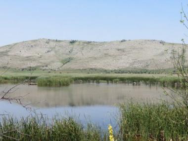 Красотата на Алдомировското блато