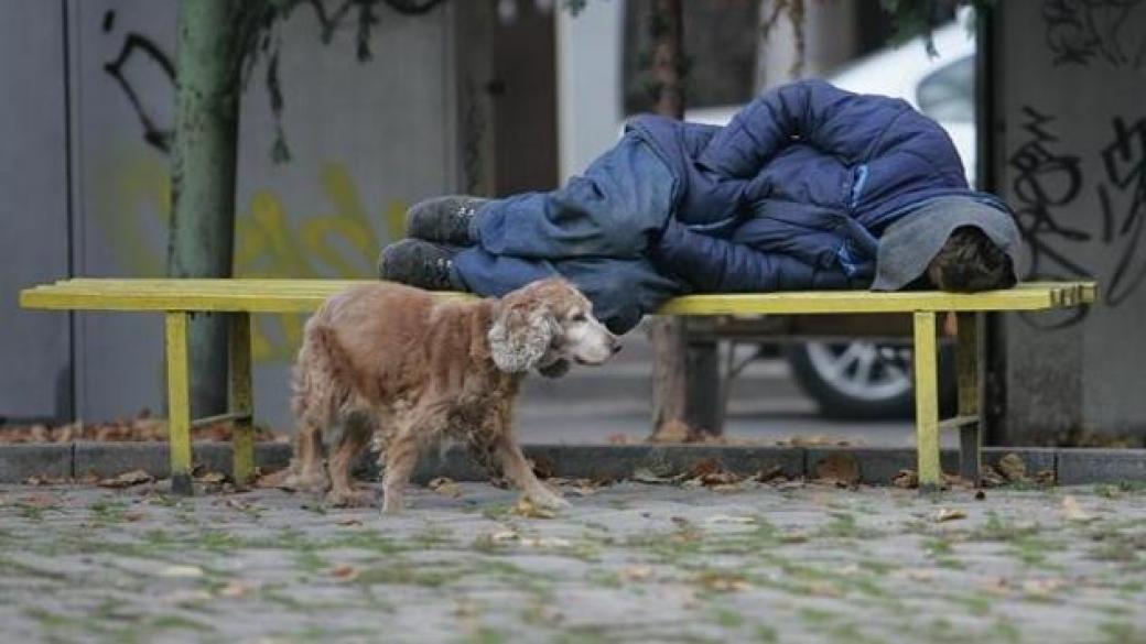 24% от бездомниците в София са висшисти