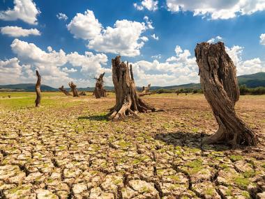 Държавите, заплашени от суша, се увеличават
