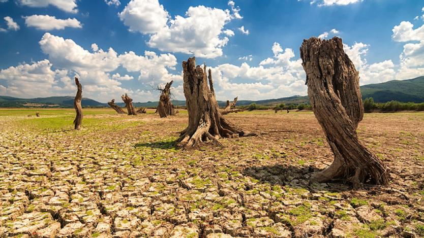 Държавите, заплашени от суша, се увеличават
