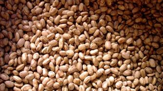 Храните на едро с ръст от 9% за месец и половина