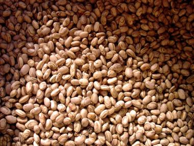 Храните на едро с ръст от 9% за месец и половина