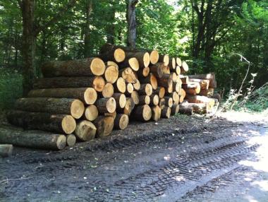 Дървата за огрев остават на същите цени
