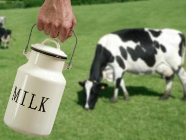 Европейски държави се обединяват срещу млечната криза