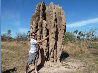 Термитите имат вентилация в жилищата си
