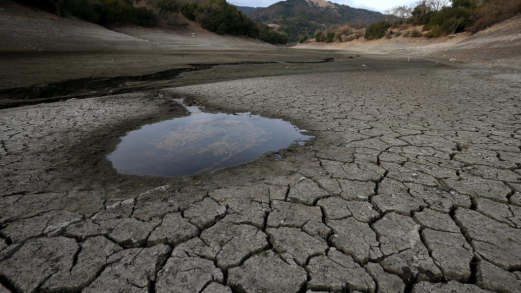 Светът е изгубил 8 млрд. долара от сушата през тази година