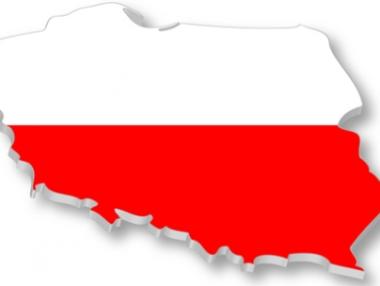 Референдум в Полша за мажоритарна система и финансиране на партиите