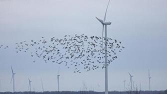 България чака присъда заради ветропарковете в Калиакра