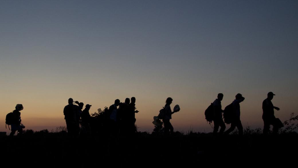 Турция залови над 700 бежанци на границата с България