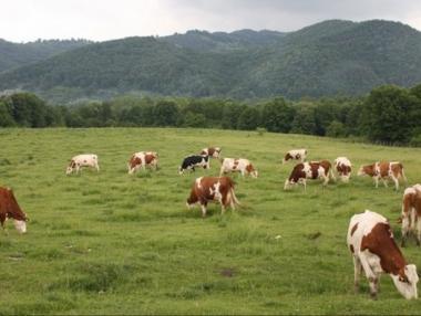 ЕК отпуска 6 млн. евро на българските фермери