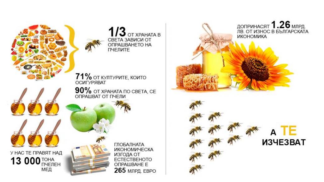 Защо изчезват пчелите?