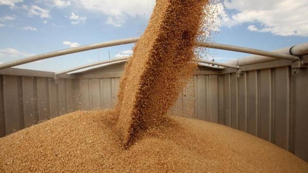 10 млн. лева за кредити за производство на пшеница