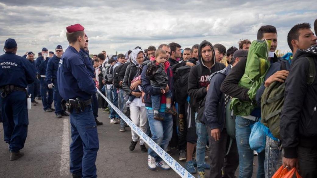 ОИСР: Европа да очаква 1 милион мигранти