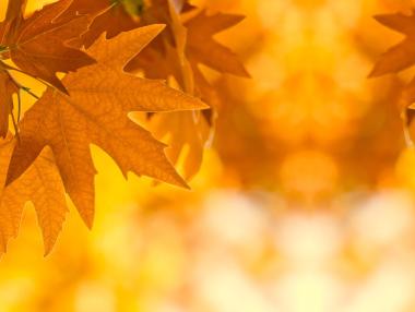 Настъпва астрономическата есен