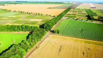 ЕК одобри държавната помощ за щети по земеделски култури