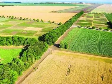 ЕК одобри държавната помощ за щети по земеделски култури