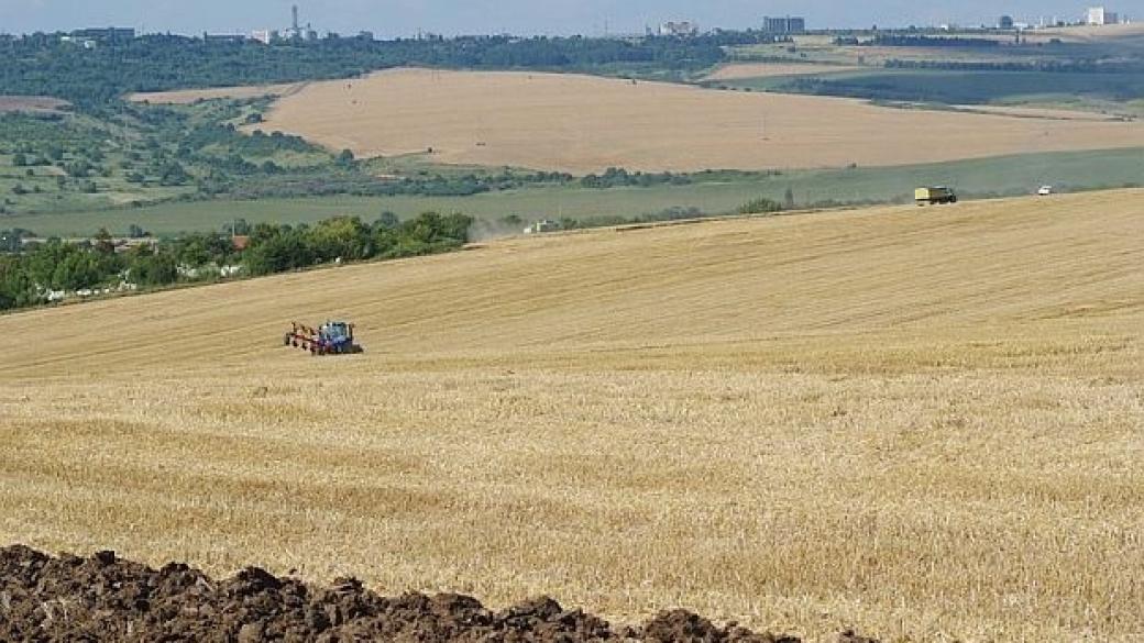 Реколтата от пшеница в Добричкия регион по-добра от миналото лято