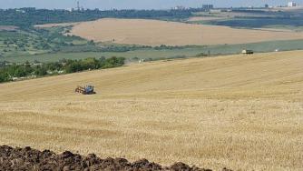 Реколтата от пшеница в Добричкия регион по-добра от миналото лято