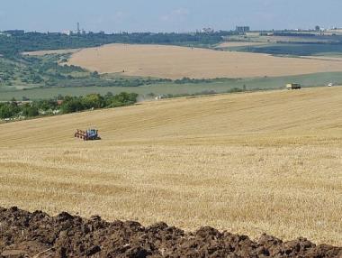 Реколтата от пшеница в Добричкия регион по-добра от миналото лято