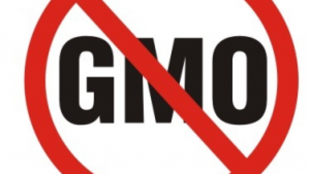 2/3 от членките на ЕС не искат ГМО