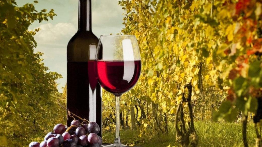 Италия е най-големият производител на вино в света