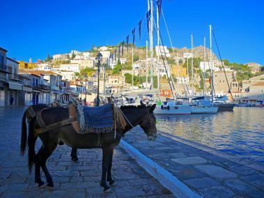 Седем града без коли