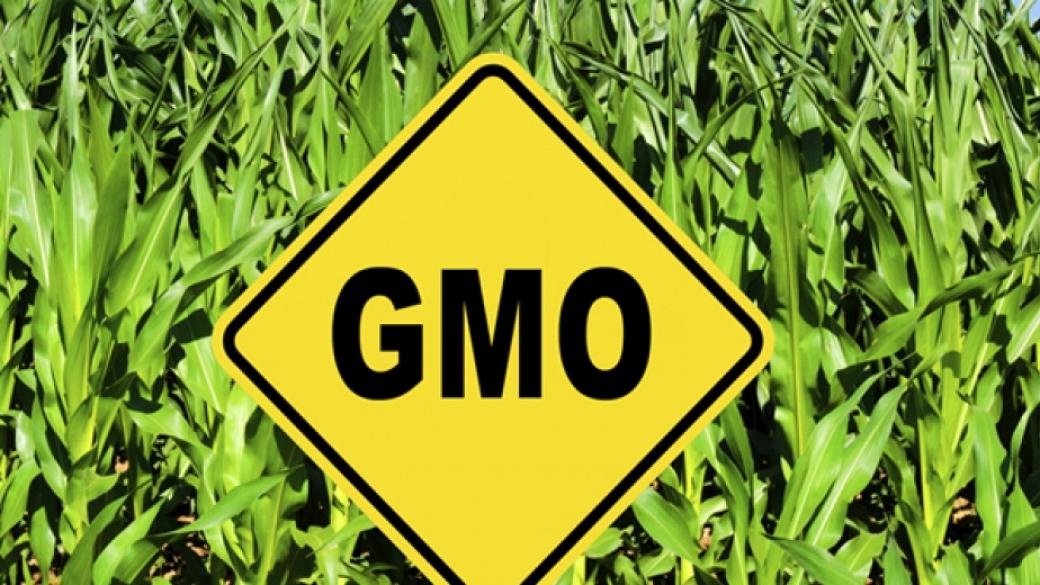 ЕП отхвърля компромиса страните-членки сами да решават за ГМО