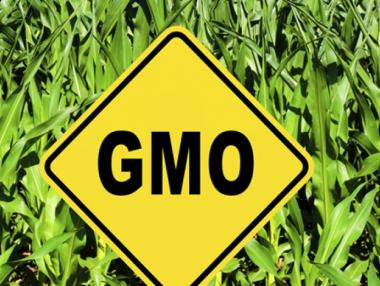 ЕП отхвърля компромиса страните-членки сами да решават за ГМО