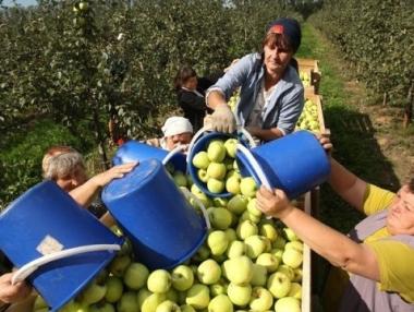 Над 76 хил. еднодневни договори са сключени досега