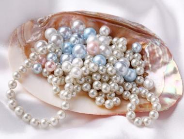 НАП Пловдив продава 5 кг. естествени перли