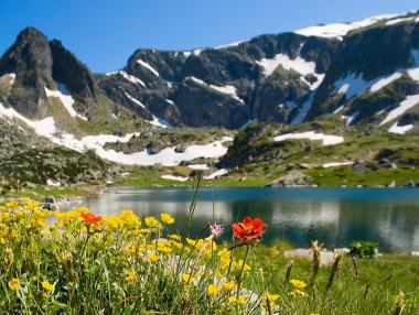 Поне 10 млн. лв. трябват за реклама на туризма