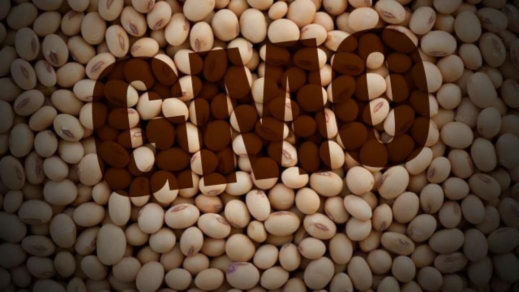 Заловиха 10 тона ГМО соя в магазините