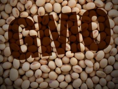 Заловиха 10 тона ГМО соя в магазините