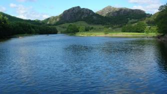 Над 1.4 млн. лв. преведе ДФЗ по проекти в рибарския сектор