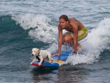 13 странни нови професии