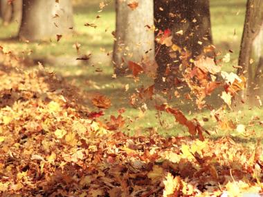 Жълт код за силен вятър в 21 области в страната