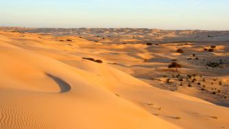 Учени откриха древна река под пясъците на Сахара