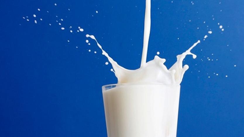 55% от млякото у нас не се декларира