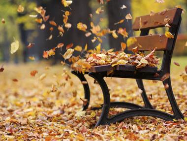 Обявиха жълт код за силен вятър в 13 области у нас
